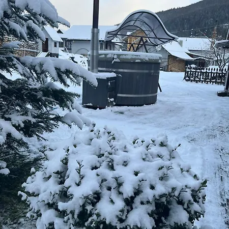 Деревянный коттедж Dana