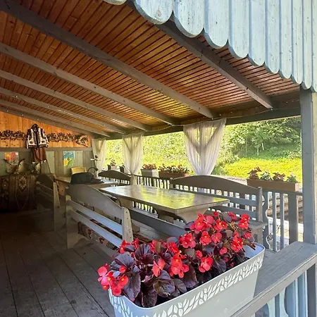 Lodge Dana Tatariv
